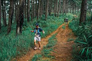 BIB: 
                            <button type="button" onclick="openModal(25705111)" class="btn btn-primary btn-sm float-right btn-popup" data-toggle="modal" data-target=".modal-high-quality">
                        <i class="fas fa-shopping-cart"></i> Add to Cart
                    </button>
                                            <button type="button" onclick="isThisMe(25705111, true)" class="btn btn-success btn-sm float-right btn-popup btn-isme hidden" data-toggle="tooltip" data-placement="bottom" title="นี่คือรูปของคุณใช่ไหม คลิกที่นี่เพื่อเอาเข้าอัลบั้ม">
                        <i class="fas fa-plus"></i> Add to album
                    </button>
                    <button type="button" onclick="isThisMe(25705111, false)" class="btn btn-warning btn-sm float-right btn-popup btn-isnotme hidden">
                        <i class="fas fa-ban"></i> Remove from album
                    </button>